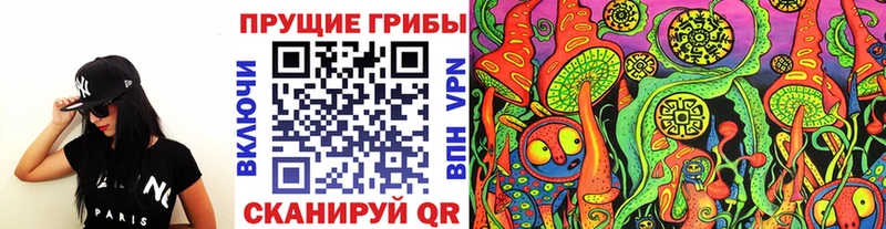 Купить закладки  Петропавловск-Камчатский  Псилоцибиновые грибы ЛСД 